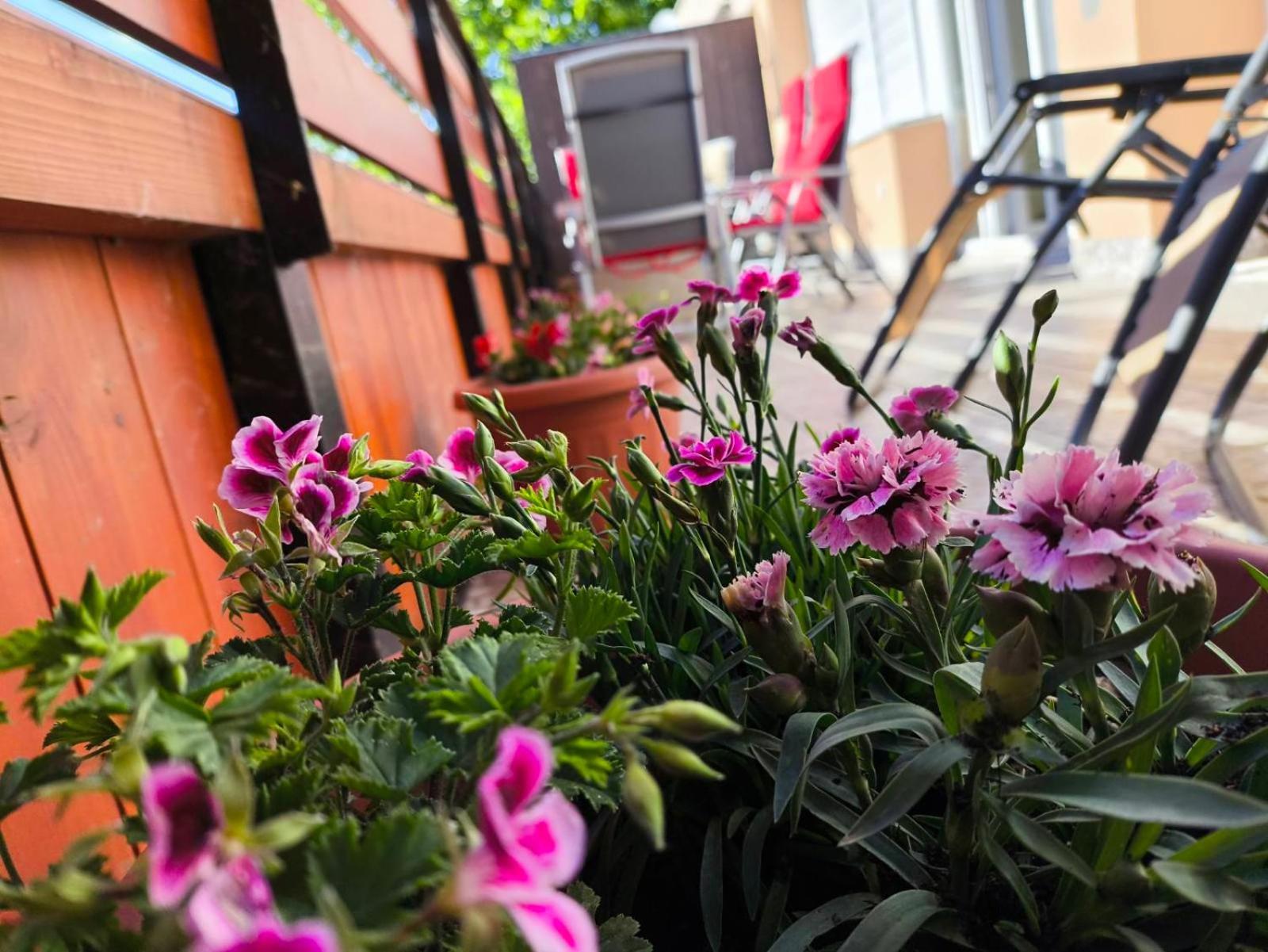 100 Lepes - 100 Steps - Apt With Huge Terrace Next To The Thermal Bath Harkany Bagian luar foto